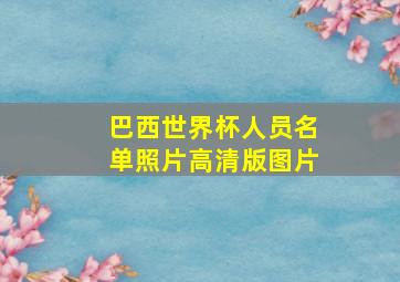 巴西世界杯人员名单照片高清版图片