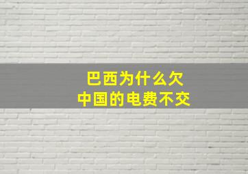 巴西为什么欠中国的电费不交