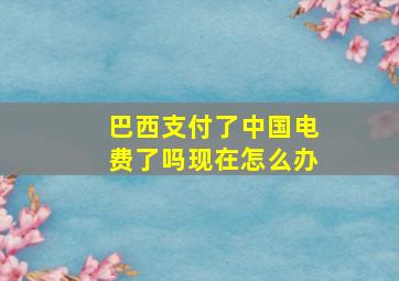 巴西支付了中国电费了吗现在怎么办