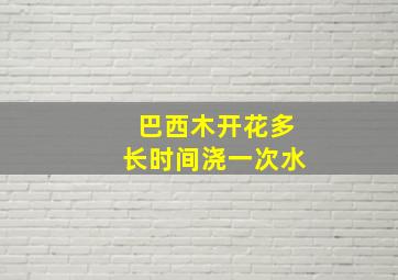 巴西木开花多长时间浇一次水