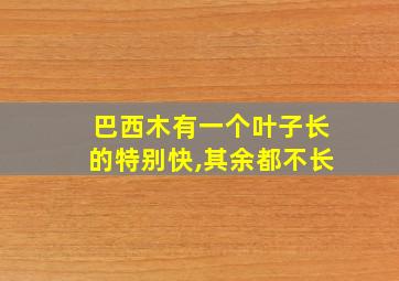 巴西木有一个叶子长的特别快,其余都不长