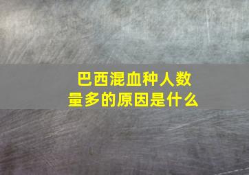 巴西混血种人数量多的原因是什么