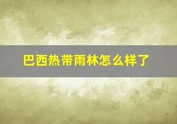 巴西热带雨林怎么样了