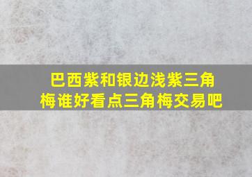 巴西紫和银边浅紫三角梅谁好看点三角梅交易吧