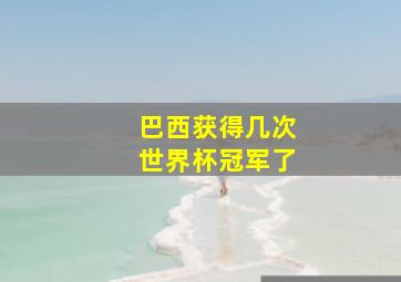 巴西获得几次世界杯冠军了