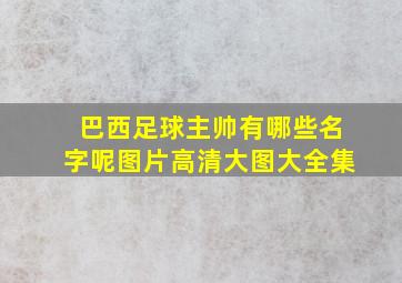 巴西足球主帅有哪些名字呢图片高清大图大全集