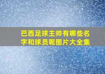 巴西足球主帅有哪些名字和球员呢图片大全集