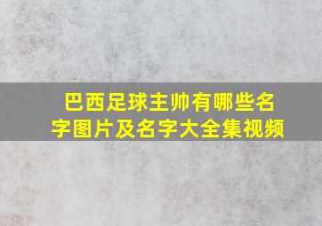 巴西足球主帅有哪些名字图片及名字大全集视频