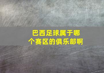 巴西足球属于哪个赛区的俱乐部啊