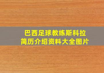 巴西足球教练斯科拉简历介绍资料大全图片