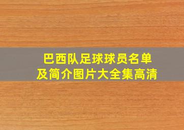 巴西队足球球员名单及简介图片大全集高清