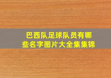 巴西队足球队员有哪些名字图片大全集集锦