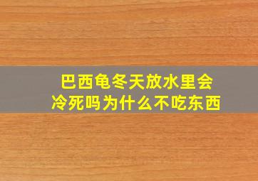 巴西龟冬天放水里会冷死吗为什么不吃东西