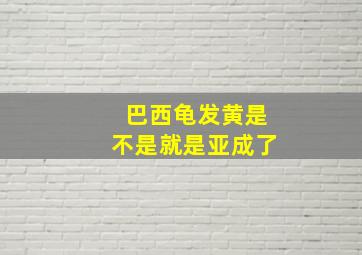 巴西龟发黄是不是就是亚成了