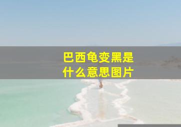 巴西龟变黑是什么意思图片