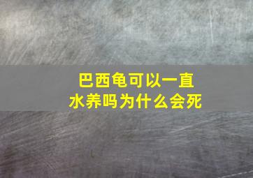 巴西龟可以一直水养吗为什么会死