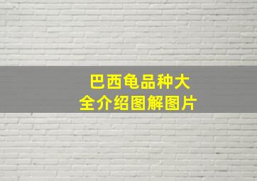 巴西龟品种大全介绍图解图片