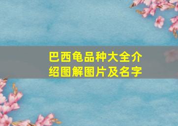 巴西龟品种大全介绍图解图片及名字