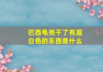 巴西龟壳干了有层白色的东西是什么