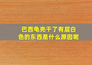 巴西龟壳干了有层白色的东西是什么原因呢