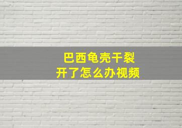 巴西龟壳干裂开了怎么办视频