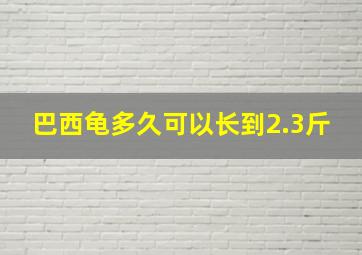 巴西龟多久可以长到2.3斤