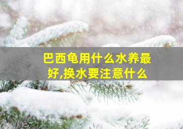 巴西龟用什么水养最好,换水要注意什么