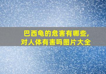 巴西龟的危害有哪些,对人体有害吗图片大全