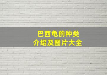 巴西龟的种类介绍及图片大全