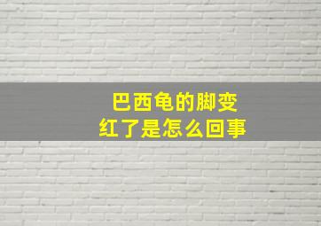 巴西龟的脚变红了是怎么回事