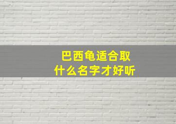 巴西龟适合取什么名字才好听