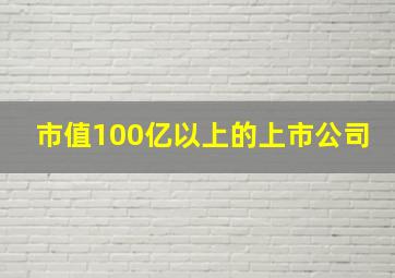 市值100亿以上的上市公司