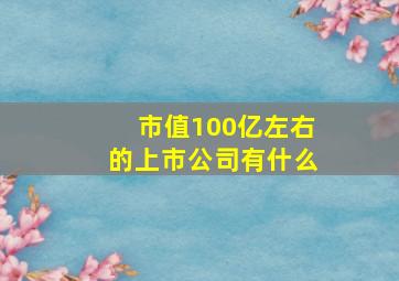 市值100亿左右的上市公司有什么