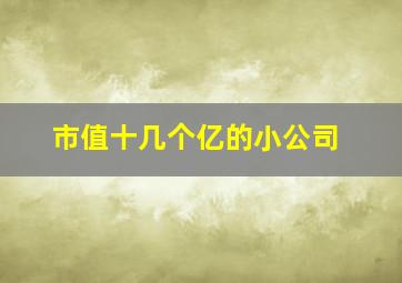 市值十几个亿的小公司