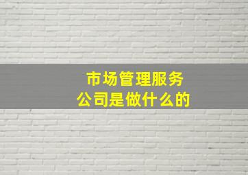 市场管理服务公司是做什么的