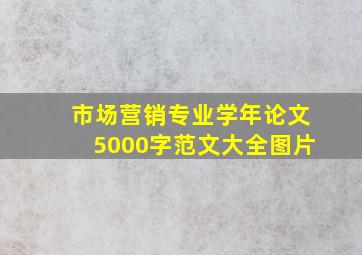 市场营销专业学年论文5000字范文大全图片