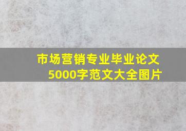 市场营销专业毕业论文5000字范文大全图片