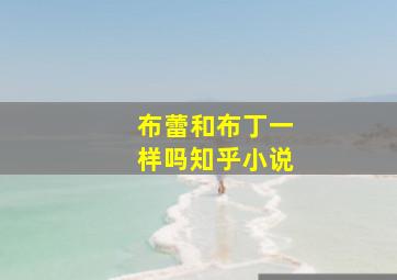 布蕾和布丁一样吗知乎小说