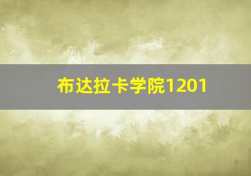 布达拉卡学院1201