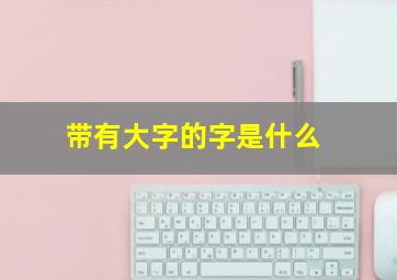 带有大字的字是什么