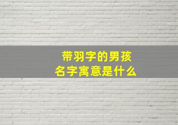 带羽字的男孩名字寓意是什么