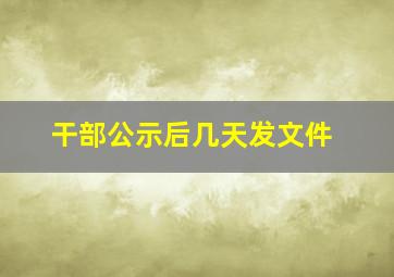 干部公示后几天发文件