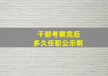 干部考察完后多久任职公示啊