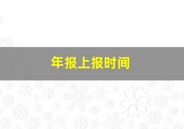 年报上报时间