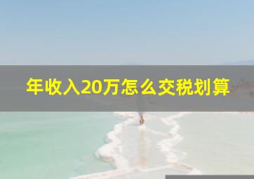 年收入20万怎么交税划算