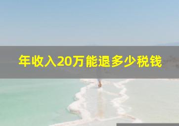 年收入20万能退多少税钱