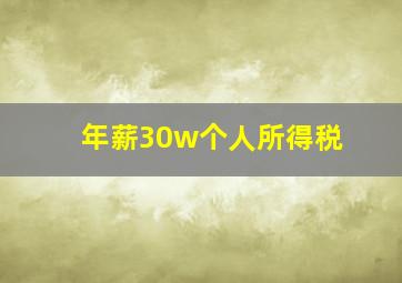 年薪30w个人所得税