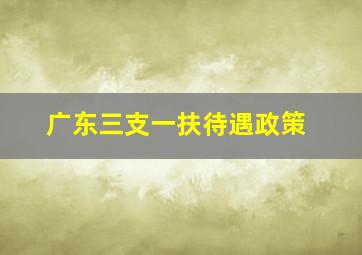 广东三支一扶待遇政策