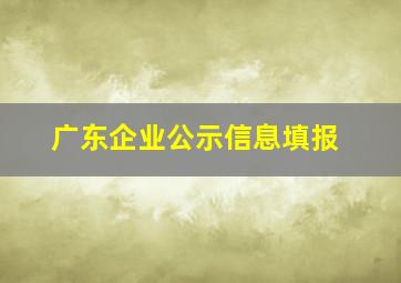 广东企业公示信息填报