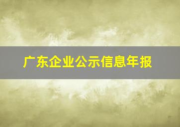 广东企业公示信息年报